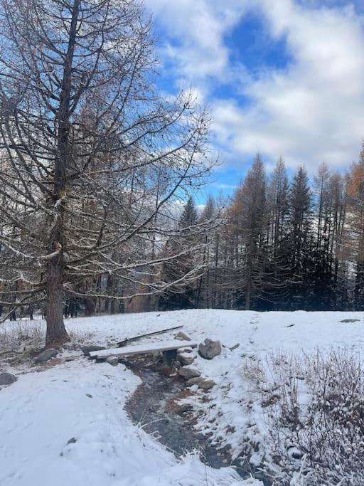 Confort Et Espace Pour Cet Appartement Duplex De 100 M2 Avec Grand Sejour Expose Sud Avec Cheminee, 4 Chambres , Acces Direct Aux Pistes De Ski Et Au Golf Dans La Residence Edenarc Avec Piscine, Jacuzzi Et Spa Bourg-Saint-Maurice Dış mekan fotoğraf